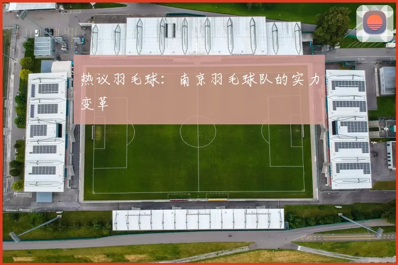 热议羽毛球：南京羽毛球队的实力变革