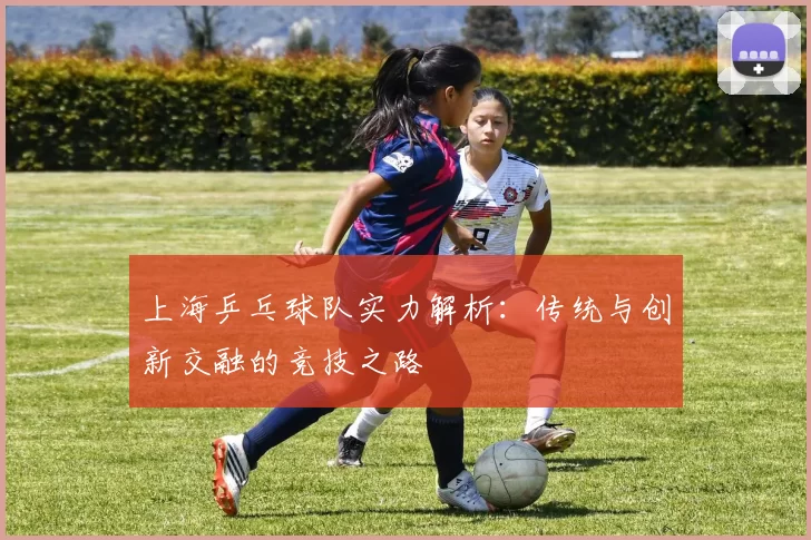 上海乒乓球队实力解析：传统与创新交融的竞技之路