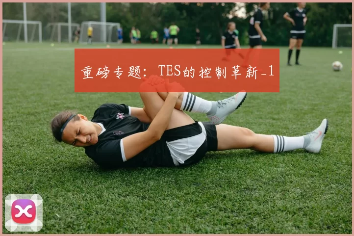 重磅专题：TES的控制革新_1