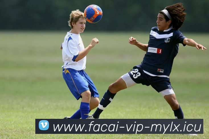 乐竞体育平台生态图